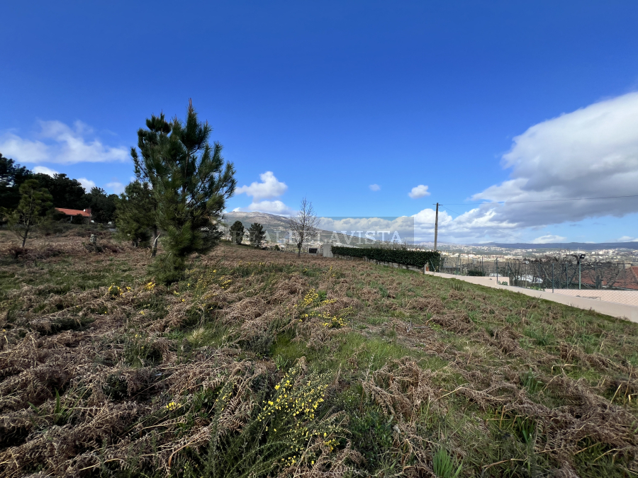167e134ae2604692.jpg