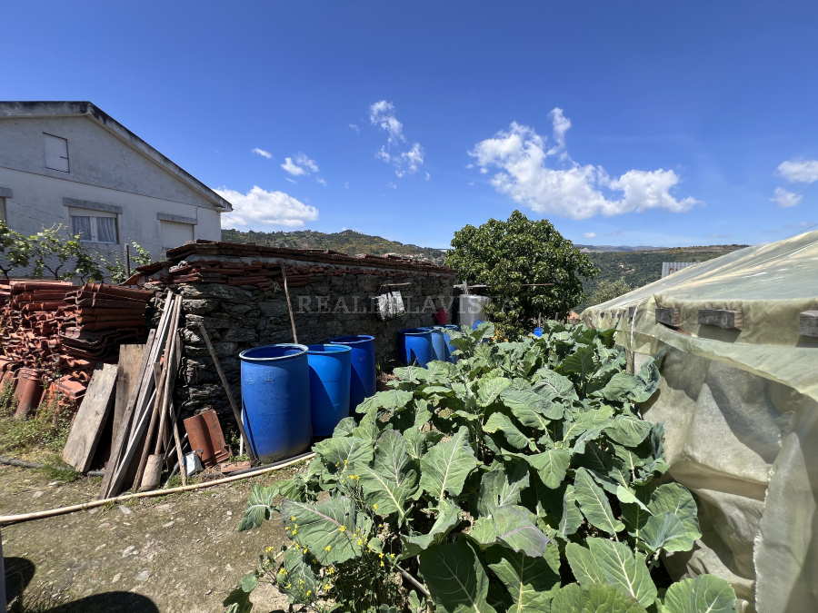 DOIS TERRENOS | UM SONHO À ESPERA DE NASCER – Cumieira, Vila Real